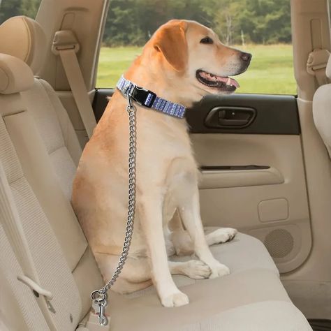 #HappyTailCenter.com ➡️Ensure your pet's safety during car rides with our Metal Pet Safety Seat Belt. Made from durable stainless steel, this seat belt provides a secure restraint for dogs and cats in the car. 😍 50% Discount on all items 🌍 Free Worldwide Shipping 🔒 Secure Payment Channel 📦 Order Tracking Available Happy Tails, Car Rides, Pet Safety, Car Ride, In The Car, Dogs And Cats, Dog Leash, Seat Belt, For Dogs