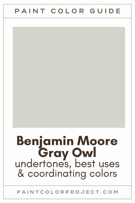 Gray Wisp Benjamin Moore Living Room, Gray Lake Benjamin Moore, Benjamin Moore Gray Owl Living Room, Benjamin Moore Gray Owl Cabinets, Gray Owl Complimentary Colors, Grey Owl Coordinating Colors, Gray Owl Color Palette, Benjamin Moore Gray Owl Bathroom, Bm Gray Owl Coordinating Colors