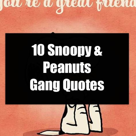 Peanuts Thanksgiving Quotes, Peanuts Quotes Funny, Charlie Brown Quotes Inspiration, Peanuts Quotes Inspirational, Charlie Brown Quotes Funny, Snoopy Quotes Funny, Snoopy Birthday Quotes, Peanuts Gang Quotes, Peanuts Cartoon Quotes