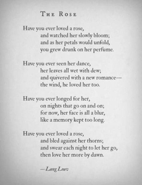 Hades To Persephone, Red Roses Quotes, Neruda Poems, Poetry For Life, Blake Poetry, Soul Sister Quotes, Lang Leav Poems, Rose Poems, Understand Emotions