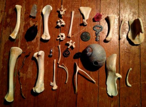 qedavathegrey: Throwin’ the Bones Of the divinatory techniques... Bone Magic, Bone Collecting Aesthetic, Bone Divination, Casting Bones Divination, Bone Talisman, Bedknobs And Broomsticks, Witchcraft Altar, Traditional Witchcraft, Animal Teeth