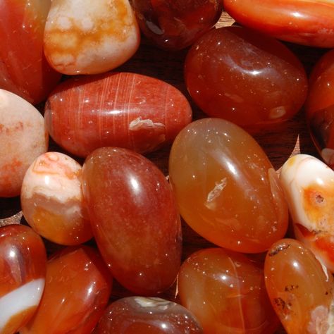 Natural Carnelian agate crystal tumbled stones from Madagascar.These Carnelian crystal tumbled stones are available in the following sizes:Small: .5 to .75 inchMedium: .75 to 1 inchesLarge: 1 to 1.25 inchesCarnelian is a Stone of Creativity. Stimulates inherent talents, bolsters courage. Excellent stone for public speaking. In confers eloquence and confidence. Assists in theatrical pursuits. Protects against envy, fear, and doubt. Stimulates libido.Chakra: Sacral ❤︎ Follow us on Instagram to kee Carnelian Stone Aesthetic, Carnillean Crystal, Carnelian Aesthetic, Gemstones Aesthetic, Crystal Carnelian, Crystals Aesthetic, Carnelian Agate, Collage Art Projects, Carnelian Crystal