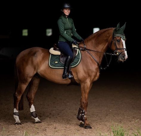 Best Tack Colors For Chestnut Horses, Chestnut Showjumper, Chestnut Horse Tack Colors, Green Horse Tack, Show Jumper Horse, Horse Hunter Jumper, Chestnut Horse Aesthetic, Chestnut Horse Tack, Austrian Warmblood