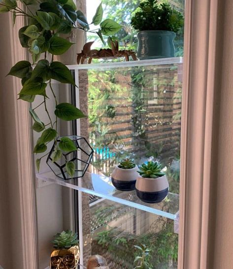 PRICES MAY VARY. PERFECT FOR INDOOR GARDENS - Wish you had more window space for all your plants? Then this shelf will allow you to maximize your window space so all your plants will get an equal amount of natural sunlight. SPACE SAVING DESIGN - Blends perfectly with any style of home. Put them in any window to where you could benefit from additional tasteful storage allowing you to better organize your space without blocking natural sunlight. HIGH QUALITY - This luxurious, trendy and highly pra Window Plant Shelf, Modern Boho Chic, Window Shelf, Window Plants, Window Shelves, Indoor Window, Acrylic Shelf, Plants Succulents, Collection Display