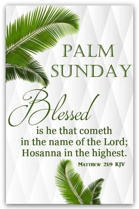 Palm Sunday Quotes Jesus, Palm Sunday Quotes, Sunday Bible Verse, Church Bulletin Covers, Happy Palm Sunday, Palm Sunday Decorations, Hosanna In The Highest, Palm Sunday Crafts, Sunday Prayer