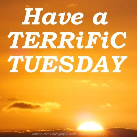 Funny Happy Tuesday, Tuesday Quotes Good Morning, Tuesday Greetings, Terrific Tuesday, Good Morning Tuesday, Tuesday Quotes, Weekday Quotes, Sunrise Photos, Funny Happy