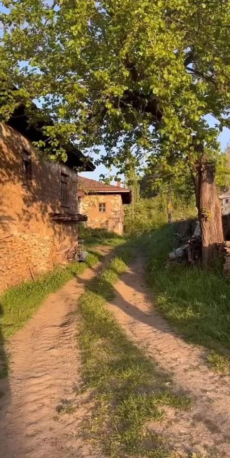 Farmstead Aesthetic, Village Landscape Photography Nature, Village Landscape Photography, Village Life In India, Good Morning Posters, City Life Photography, Village Landscape, Best Nature Wallpapers, Old Village