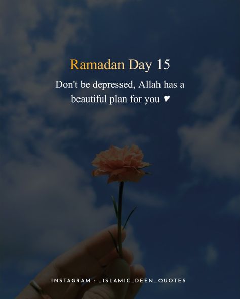 Day 15 Ramadan, Ramadan Day 15, Ramadan Content, 15 Ramadan, Ramzan Dp, Ramadan Series, Ramadan Dates, Ramadhan Quotes, Ramzan Kareem