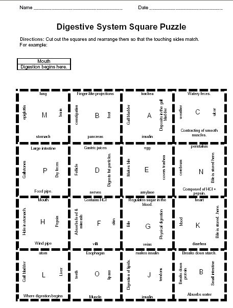 digestive system game Digestive System Worksheet, Body Systems Worksheets, Human Body Unit Study, The Respiratory System, Human Body Unit, 7th Grade Science, Teacher Boards, Inquiry Based Learning, Printable Math Worksheets