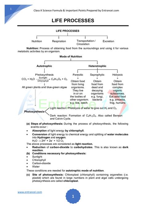 science class 10th chapter-Life Process Formula & Important points Science Formulas, Medical Terminology Study, Bio Notes, Learn Biology, Chemistry Basics, Notes Life, Chemistry Education, Study Biology, Short Notes