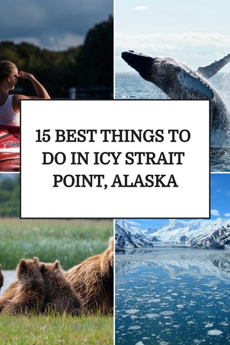 What are the most exciting things to do in Icy Strait Point, Alaska? Here is what you should know about Icy Strait Point and its attractions! Icy Strait Point Alaska, Alaska Cruise Packing, Travel Rewards Credit Cards, Cruise Packing, Packing For A Cruise, Alaska Cruise, Alaska Travel, Bucket List Destinations, Dream Travel Destinations