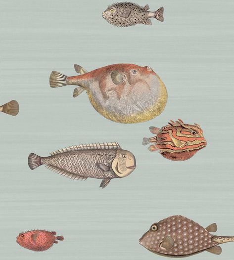 12 Classic Wallpaper Designs: Our All-Time Favorite Wallpaper Patterns - Architectural Digest Classic Wallpaper Pattern, Fornasetti Wallpaper, Cole And Son Wallpaper, Classic Wallpaper, Iconic Wallpaper, Fish Wallpaper, Fish Swimming, Wallpaper Direct, Fishing Theme