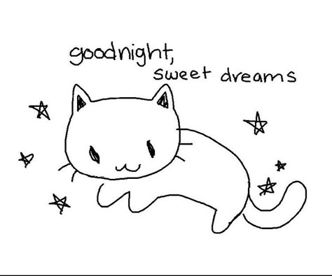 Cat Wholesome, Goodnight Baby, Night Wallpapers, Good Night Cat, A Mimir, Say Good Morning, Crush On Him, Dream's Cat, Crush Memes