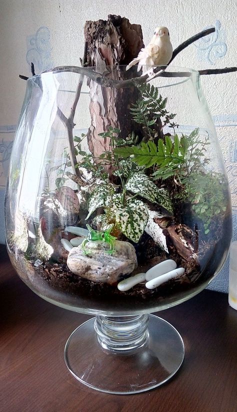 Plants In Glass Bowl, Best Terrarium Plants, Unique Terrarium, Plant In Glass, Air Plants Decor, Diy Succulent Terrarium, Beautiful Terrariums, Succulent Garden Design, Succulent Garden Diy