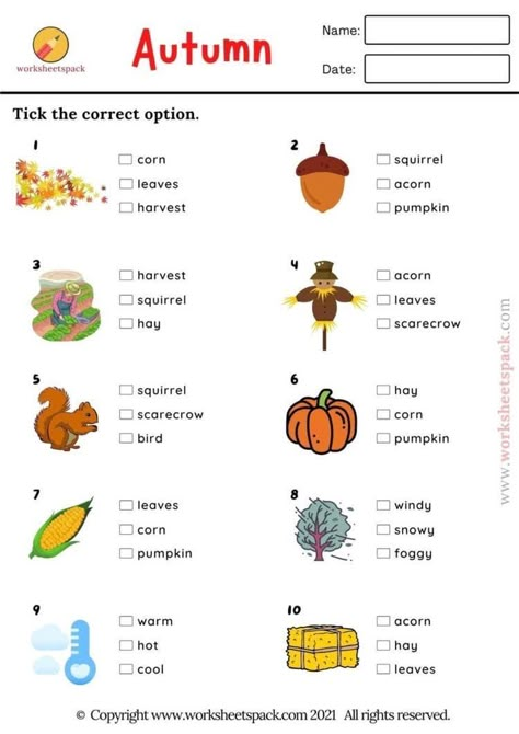 Ingles Kids, Teaching Weather, Fall Vocabulary, Seasons Worksheets, Picture Quiz, Spring Picture, English Activities For Kids, Kids English, English Fun