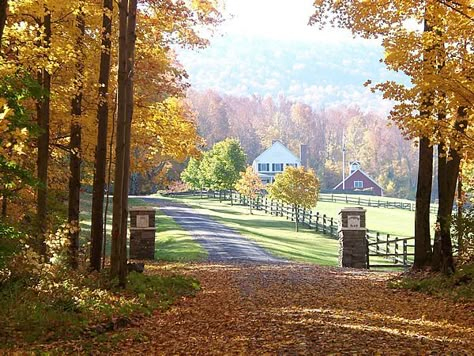 Property Entrance, Long Driveway, Farmhouse Entry, Driveway Entrance, Long Driveways, Driveway Landscaping, Casa Country, Preppy Southern, Modern Fence