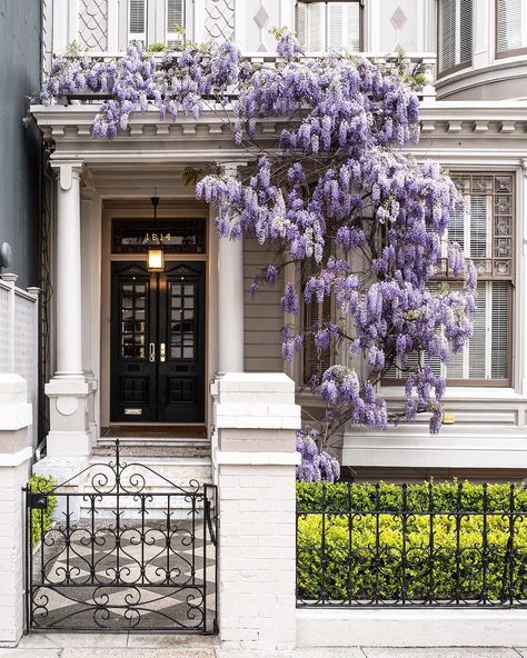 San Francisco in Bloom Kensington And Chelsea, Victoria Secrets, Notting Hill, House Goals, House Inspo, Wisteria, House Inspiration, My Dream Home, Future House