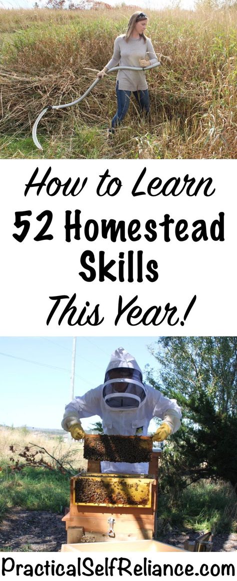 How to Learn 52 Homestead Skills This Year Homestead Skills, Homesteading Diy, Homestead Farm, Homesteading Skills, Survival Gardening, Urban Homesteading, Living Off The Land, Homestead Survival, Backyard Farming