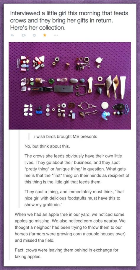 O_O This is so cool! Ted Bundy, Funny Tumblr Posts, Faith In Humanity, What’s Going On, Crows, Look At You, A Train, Tumblr Posts, Tumblr Funny