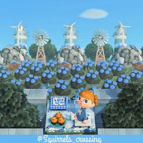 🐿️Squirrels Crossing🐿️ on Instagram: "|Blueberry fields forever🫐🩵💙| Happy Tuesday! These are the blueberry fields behind the blue barn! Little picnic at the top to eat blueberry muffins🩵💙🥮🫐Come join me!☺️ Have a great day friends!!💙🩵 ______________________________________ #acnhinspiration #acnhislanddesign #acnhcreators #acnhcreations #nookspiration #crossinglorien #acnhfriends #blueberry #blueberrymuffins #blueberryfarm #blueberrypicking #animalcrossingfriends #acnhaesthetic #acnhcut Acnh Blueberry Farm, Blueberry Field, Blueberry Picking, Blueberry Farm, Happy Tuesday, Blue Berry Muffins, Have A Great Day, Animal Crossing, Blue