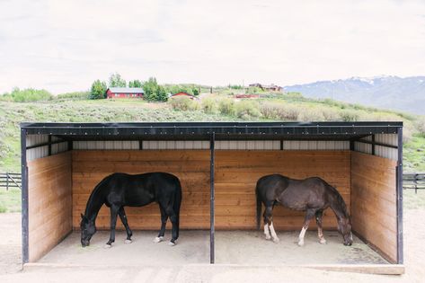 Pasture Run In Shed, Run In Shed For Horses Diy, Run In Sheds For Horses, Run In Shed For Horses, Horse Run In Shelter, Pasture Shelter, Horse Shed, Ranch Fencing, Small Horse Barns