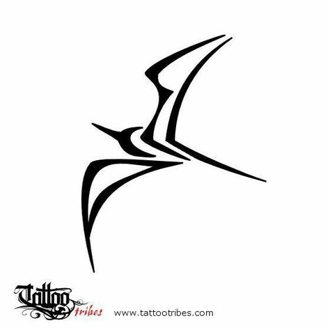 Frigate Bird Tattoo, Bird Tattoo Design, Frigate Bird, Bride Cartoon, Tato Maori, Ankle Tat, Surfing Aesthetic, Tatoo Inspiration, Māori Culture