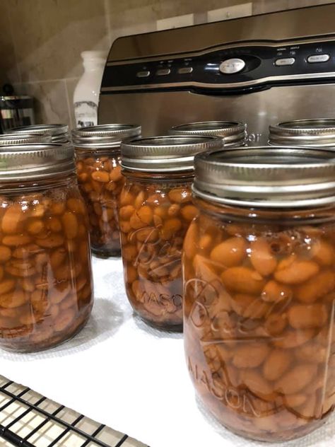 Spiced Pinto Beans - CANNING AND COOKING AT HOME Canning Half Pints, Canning Red Beans And Rice, Canning Pinto Beans Water Bath, Canning Pinto Beans Pressure, Canning Chili Beans, Canning Pinto Beans, Canning Blackberries, Canning Chili, Creative Canning