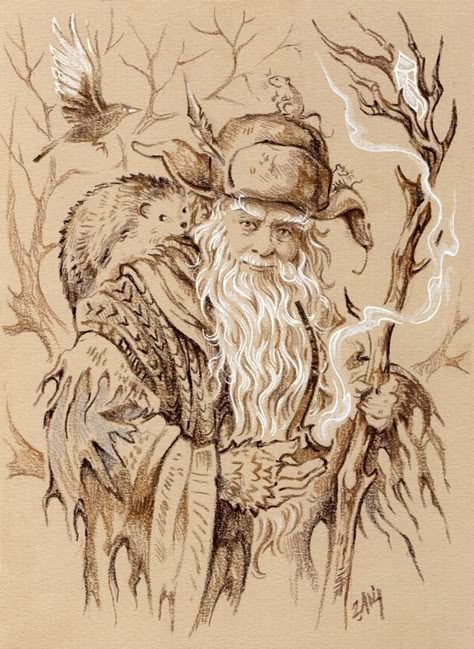 Radagast The Brown, John Howe, Hobbit Art, Middle Earth Art, Tolkien Books, Tolkien Art, Lotr Art, Heroic Fantasy, Desenho Tattoo