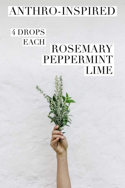 Rosemary Diffuser Blends, Mom Groups, Mom Checklist, Eo Blends, Essential Oil Combinations, Essential Oil Diffuser Blends Recipes, Essential Oils Cleaning, Essential Oil Diffuser Recipes, Oil Diffuser Recipes