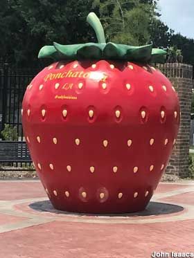 Ponchatoula, La - Giant Strawberry. Ponchatoula Louisiana, Big Strawberry, Carousel Birthday Parties, Giant Strawberry, Carousel Birthday, Strawberry Festival, Louisiana Museum, Heritage Museum, Holy Mary