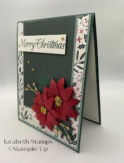 Sample Christmas Cards, First Christmas Card, Poinsettia Cards, Stamped Christmas Cards, Beautiful Christmas Cards, Homemade Christmas Cards, Stampin Up Christmas Cards, Cake Card, Christmas Card Crafts