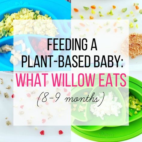 Baby Meal Plan, Vegan Baby, Weaning Recipes, Vegan Kids, Homemade Baby Foods, Homemade Baby, Led Weaning, Baby Led Weaning, 8 Months