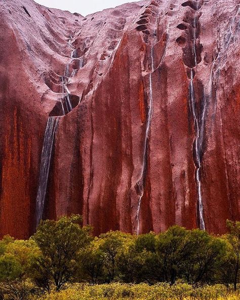 Australia Landscape, Rare Occasions, Outback Australia, Australian Travel, Australia Fashion, Land Of Oz, Bad Picture, Northern Territory, City Landscape