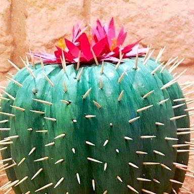 Taylor Gunn on Instagram: "#tbt to last year’s painted pumpkin! This year my son has requested we do a combo shark/ race car pumpkin 🤔 Send ideas please! #paintedpumpkins #cactus" Rainbow Pumpkin Painting Ideas, Horse Pumpkin Decorating, Football Pumpkin Decorating, Cactus Pumpkin Decorating, Flamingo Pumpkin Decorating, Patriotic Pumpkin Ideas, Styrofoam Pumpkin Ideas, Cactus Pumpkin Painting, Dolly Parton Pumpkin