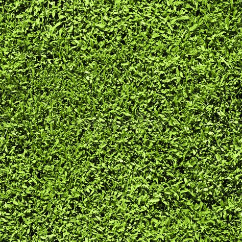 Grass seamless pattern. Seamless Texture Tiles short length of grass , #spon, #pattern, #Seamless, #Grass, #seamless, #Texture #ad Grass Texture Seamless, Grass Texture, Material Textures, Tiles Texture, Seamless Textures, Materials And Textures, Outdoor Carpet, Artificial Grass, Green Grass