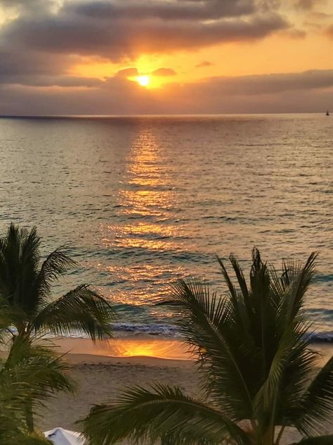 Puerto Vallarta Mexico, Sea Photo, Beautiful Nature, Stuff To Do, Beach House, Beautiful Places, Jesus, Travel, Nature