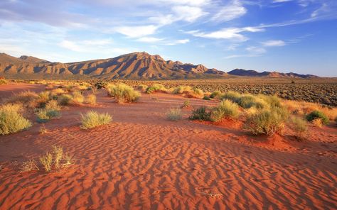 Flinders Chase National Park, Australia: This 74,000-hectare park, located on an island south and west of Adelaide, combines two of Australia’s best features: wildlife and coastal scenery. Australia Scenery, Desert Survival, Coastal Scenery, Desert Ecosystem, Australian Desert, Australia Landscape, Desert Animals, Outback Australia, Australian Travel