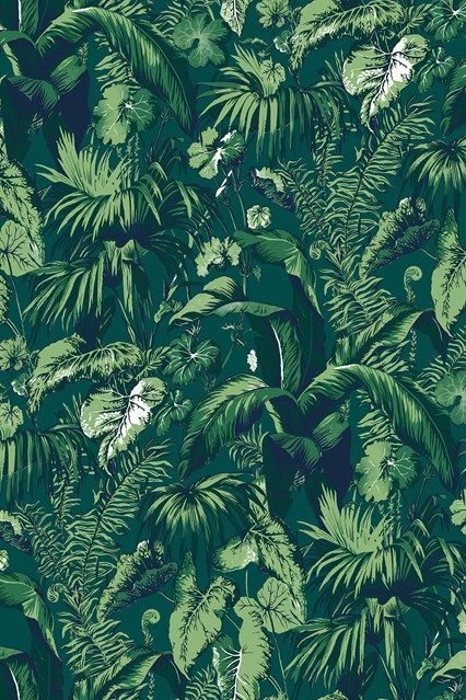 Whatsapp Wallpaper, Print Wallpaper, Green Wallpaper, Green Aesthetic, Blue Wallpapers, Of Wallpaper, Tropical Plants, Apartment Therapy, Cool Wallpaper