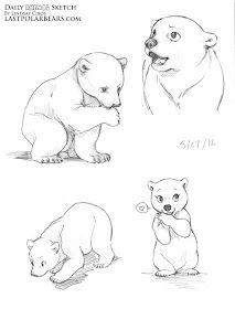 Bear Cub Drawing, Polar Bear Cubs, Polar Bear Drawing, Bear Sketch, Animal Sketch, Bear Drawing, Cute Bear Drawings, Cute Polar Bear, Film Disney