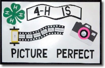 Picture Perfect Poster 4h Leader, 4h Poster Ideas, 4 H Quotes, 4 H Poster Ideas, 4-h Poster Ideas, Fair Decorations, Hay Bale Decorations, 4h Crafts, 4h Fair