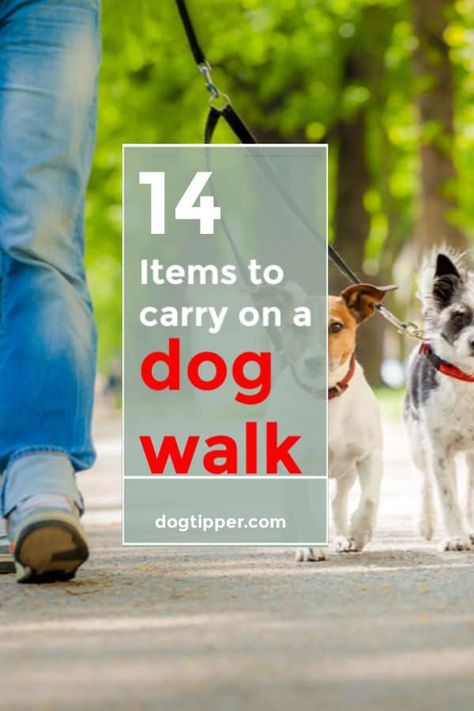 Dog Walking Flyer, Walking Essentials, Pet Sitting Business, Dog Walking Accessories, Dog Walking Business, Walking Your Dog, Wallpaper Winter, Dog Business, Dog Walking Bag