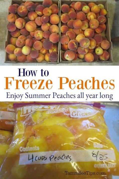 Freezing Peaches, Freeze Fruit, Meals For A Family, Kid Food Recipes, Courtyard Homes, Freezing Fruit, Peach Dessert, Peach Dessert Recipes, Hearty Stew