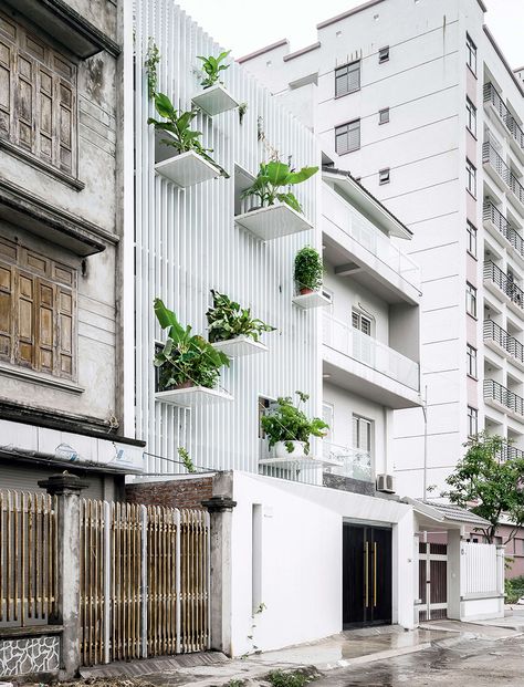 Narrow Lot House, House With Balcony, Green Facade, House Facade, Narrow House, Apartment Architecture, Green Architecture, Amazing Buildings, Modern Architecture House