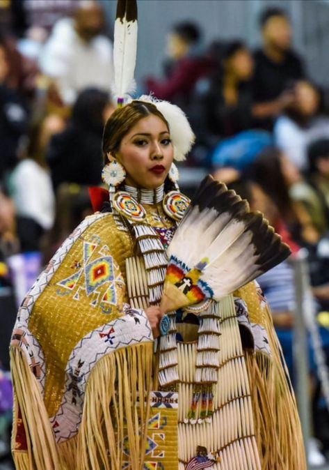 Powwow Dancers, Native American Hair, Native American Dance, Native American Dress, Native American Woman, Native American Regalia, Native American Clothing, Western Comics, Native American Photos