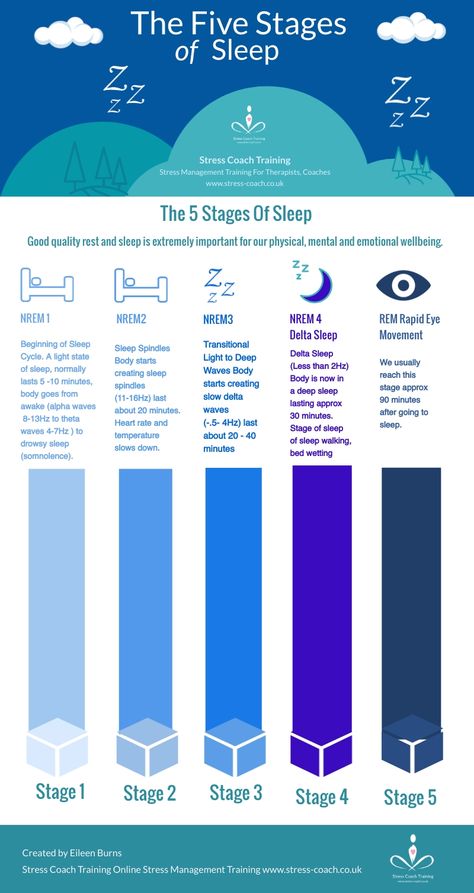 Theta Waves, Alpha Waves, Can Not Sleep, Stages Of Sleep, Sleep Therapy, Meaningful Pictures, Sleep Health, Dream Symbols, Sleep Cycle