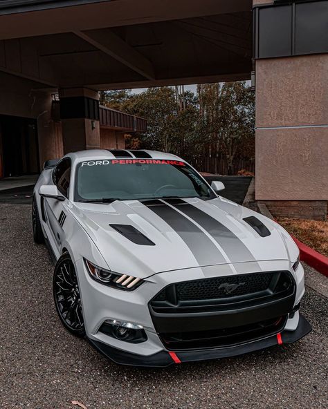 2023 Mach 1 Mustang, Masteng Gt, 2023 Mustang, Mustang 2015, Sports Cars Mustang, Aesthetic Couple, Luxury Cars Audi, Mustang Gt500, Ford Mustang Car