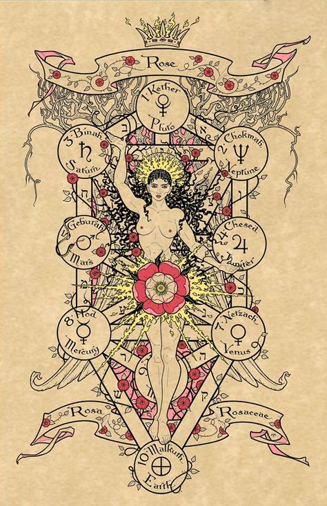 Esoteric Symbols, Magick Symbols, Alchemy Art, Sacred Science, Alchemy Symbols, Esoteric Art, Magick Book, Magic Symbols, Spirit Science