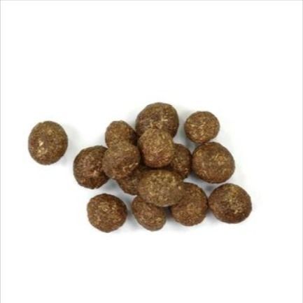 types of rabbit poop to check health Digestive System, Guinea Pigs, Buns, Small Pets, Cute Pictures, Canning, Health, Quick Saves