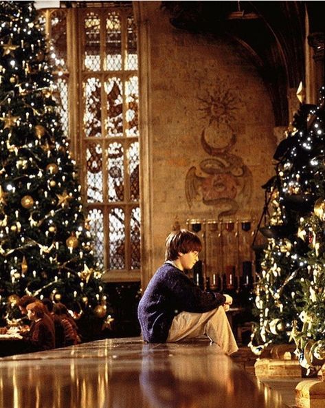 Harry Potter Christmas Aesthetic Wallpaper, Garri Potter, Harry Potter Movie Night, Harry Potter Christmas Tree, Hogwarts Christmas, Harry Potter Background, Ghost Of Christmas Past, Harry Potter Scene, Christmas Aesthetic Wallpaper