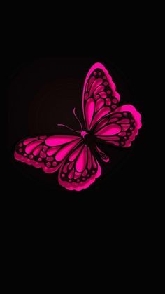 Black And Hot Pink Aesthetic Wallpaper, Black Aesthetic Butterfly, Black And Hot Pink Wallpaper, Hot Pink And Black Aesthetic, Hot Pink Wallpaper, Aesthetic Butterfly, Black And Hot Pink, Pink Wallpapers, Butterfly Wallpaper